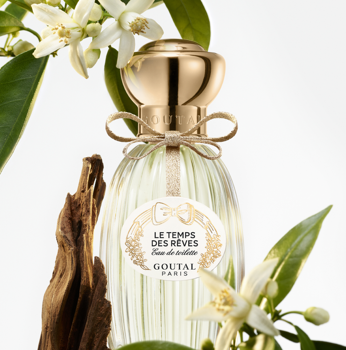 le temps de reves, goutal, გუტალი