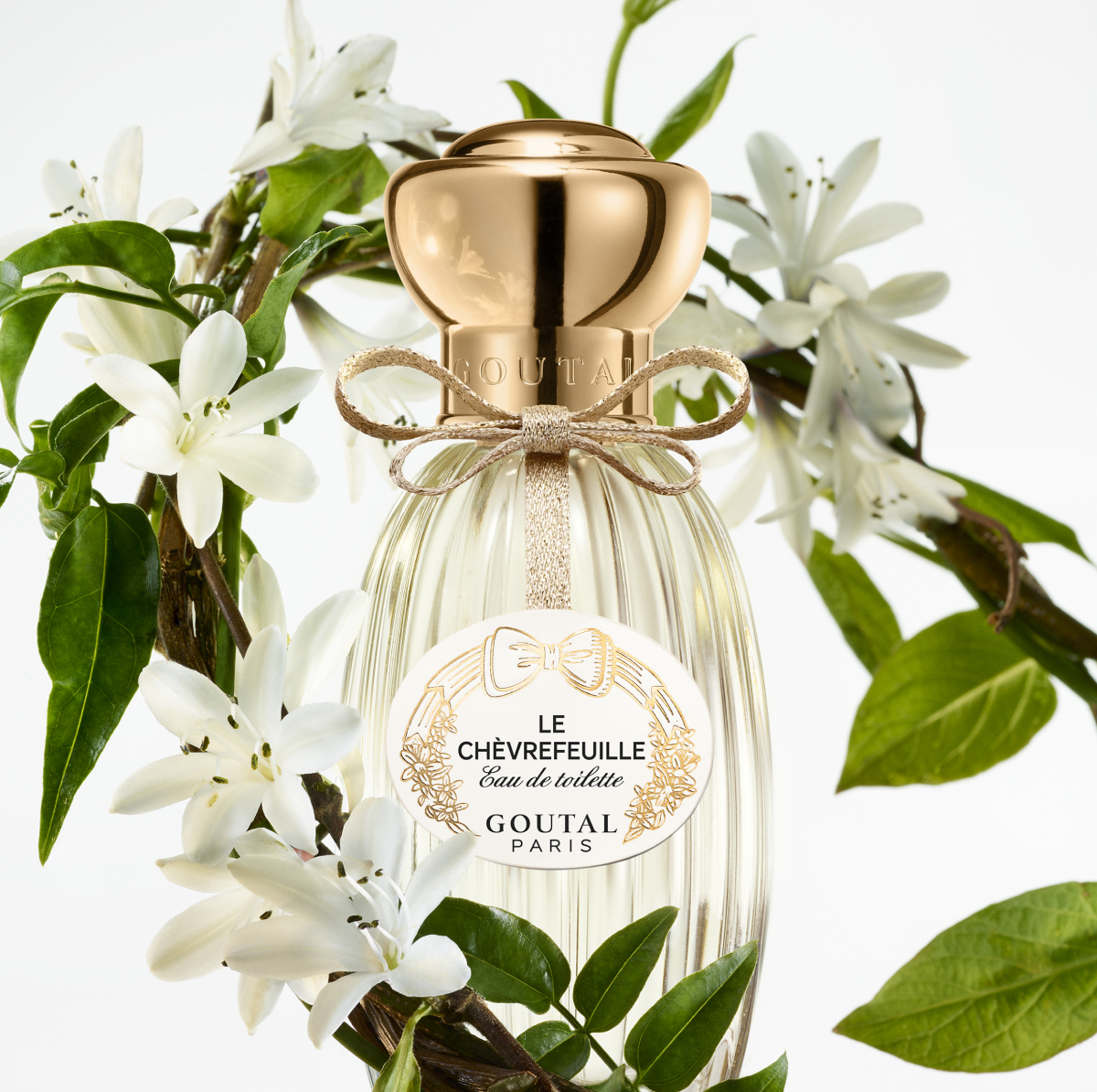 Le chevrefeuille, goutal, ლუტეცია, გუტალი