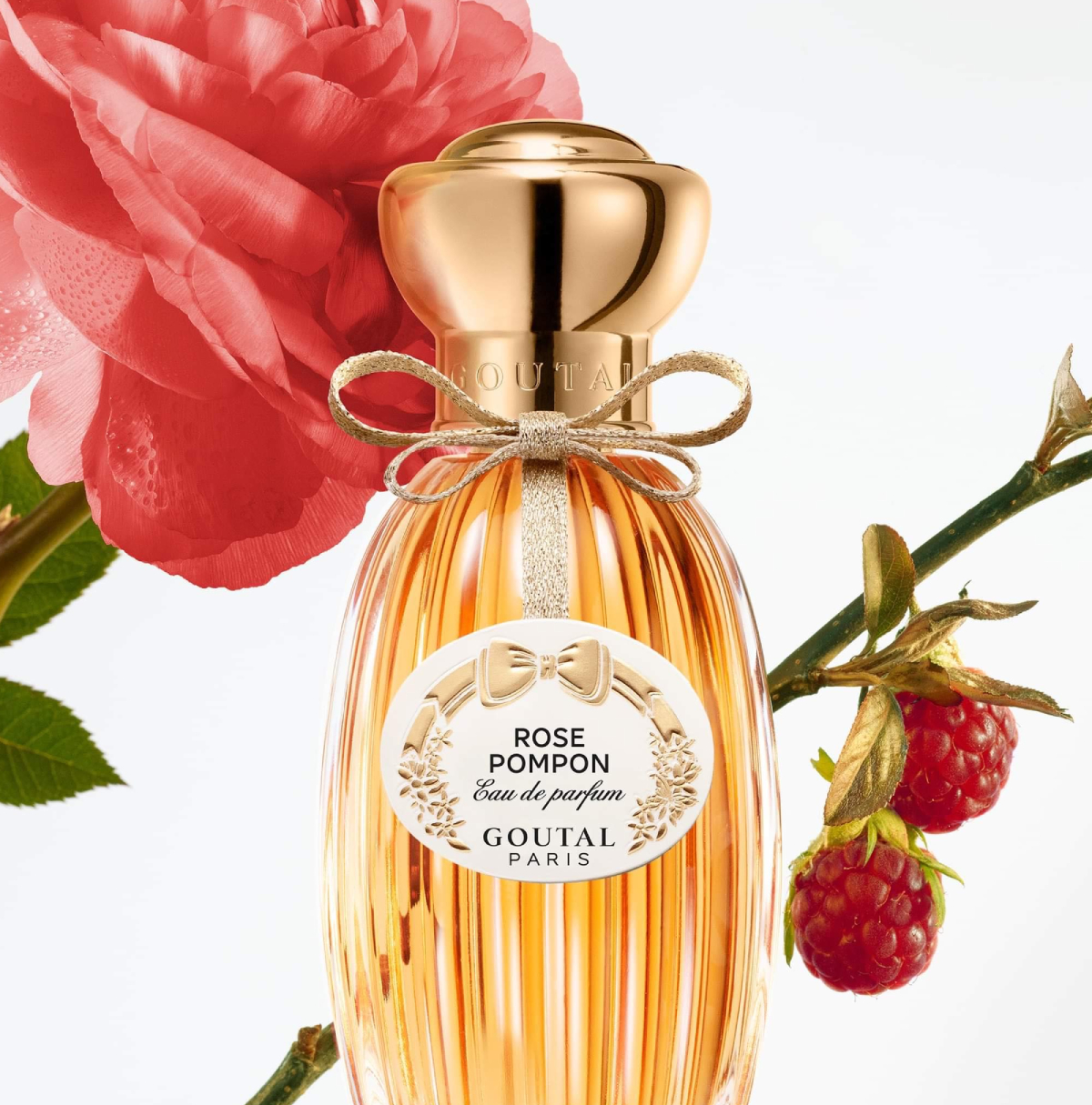 Goutal, rose pompon, გუტალი, სუნამო, ლუტეცია