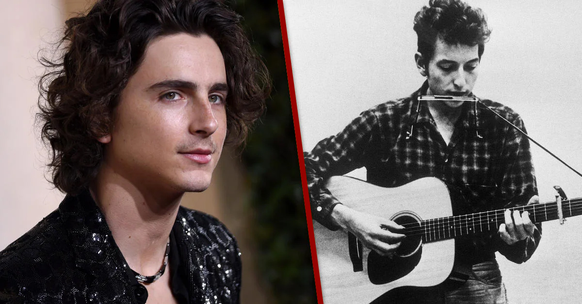 timothee chalamet, bob dylan