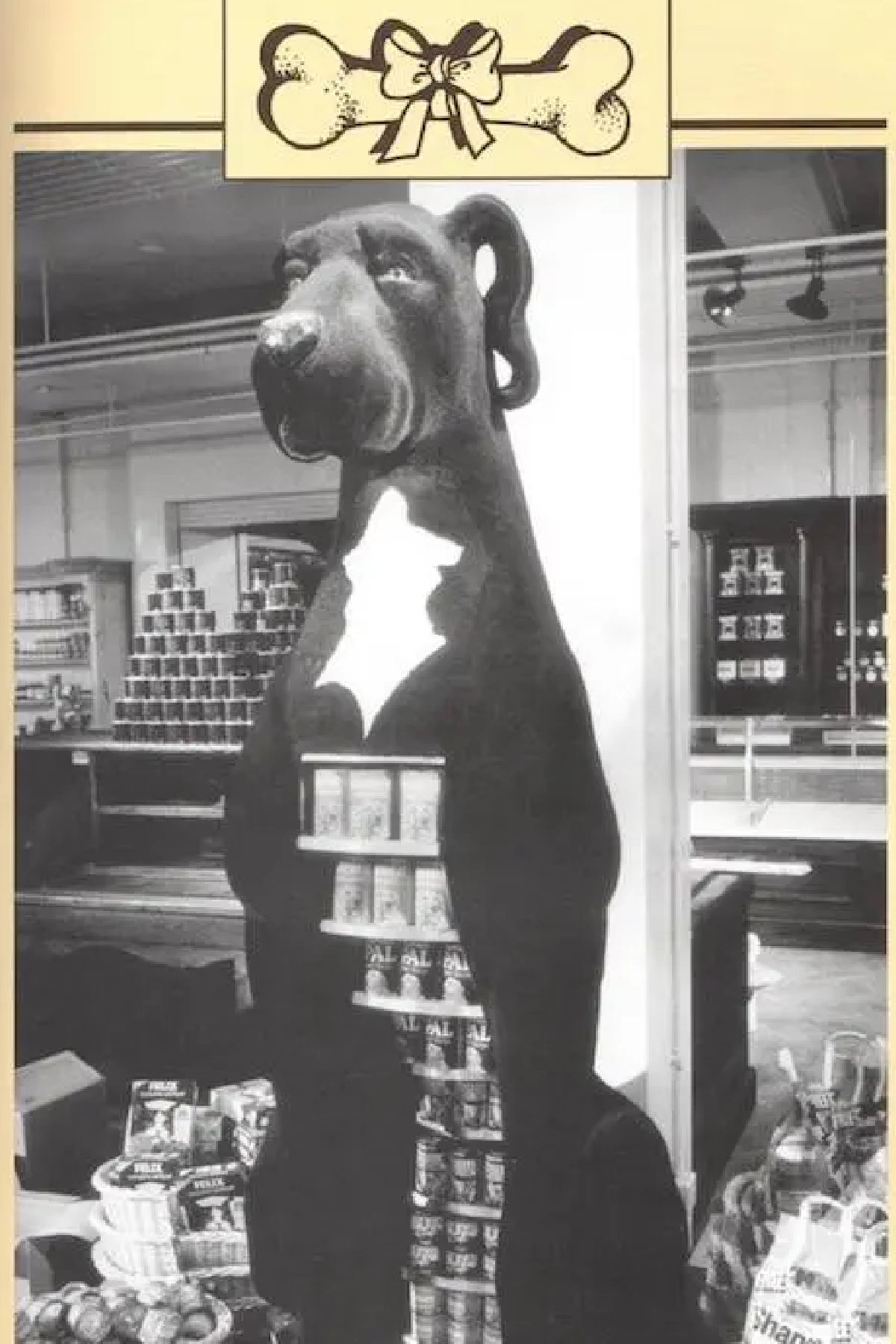 great dane,dog,dogfood,biba london store