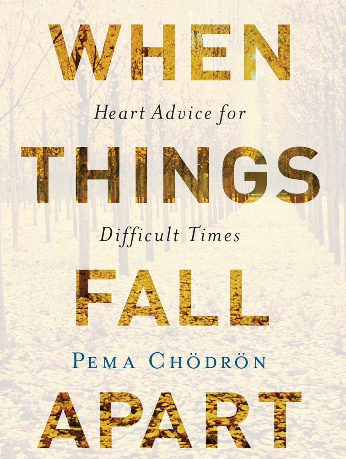 When Things Fall Apart: Heart Advice for Difficult Times